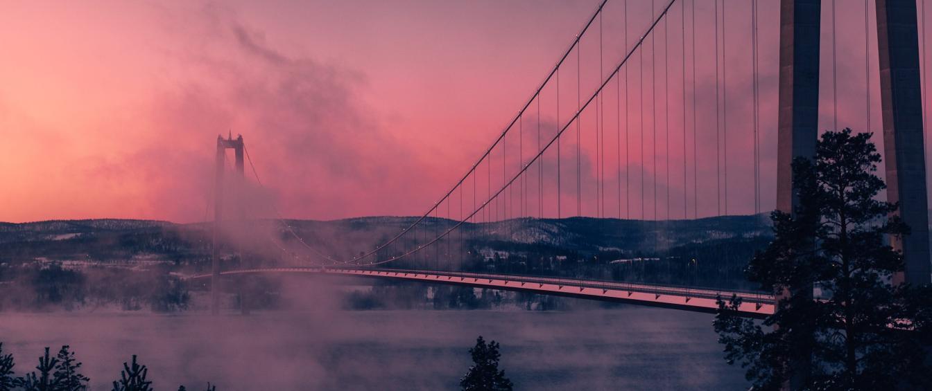 anders-jilden-AkUR27wtaxs-unsplash