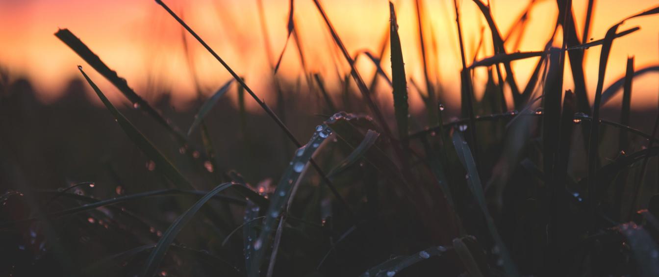 freestocks-EssPg6x5QeY-unsplash