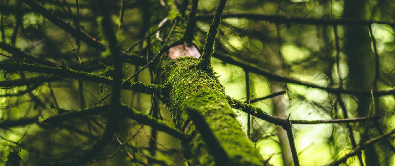 jeremy-wermeille-PImU0up6U7Y-unsplash
