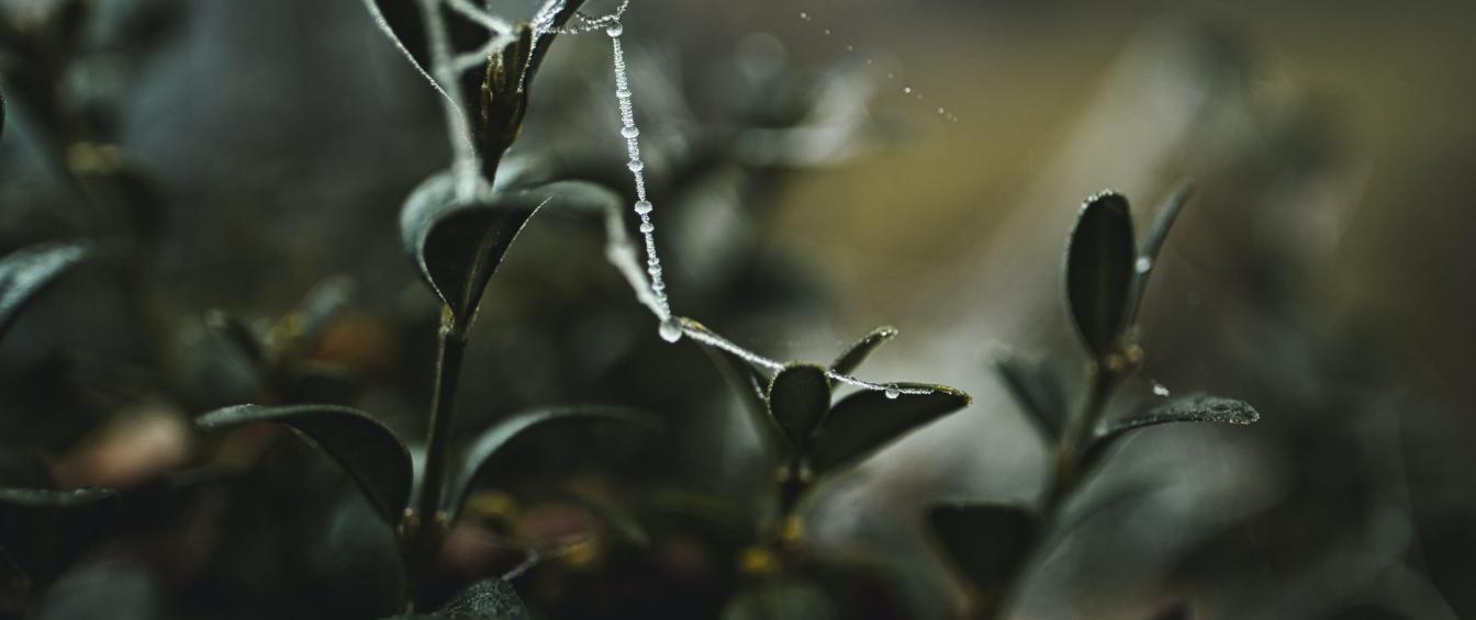 jonah-pettrich-TLagv7Ohins-unsplash