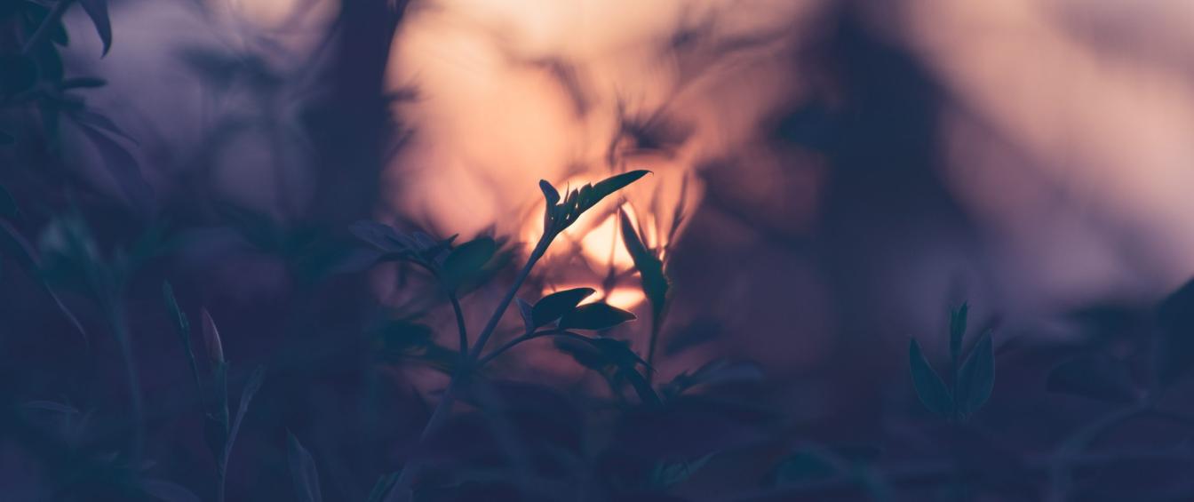 shyam-mhKKPSzSkE8-unsplash