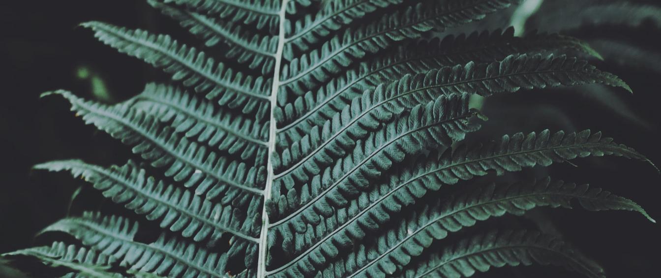 vadym-lebedych-pNT_fQ4OFdc-unsplash